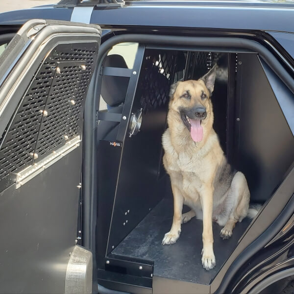 Extended K9 Transport System For 2020-2026 Ford Retail Explorer – Black
